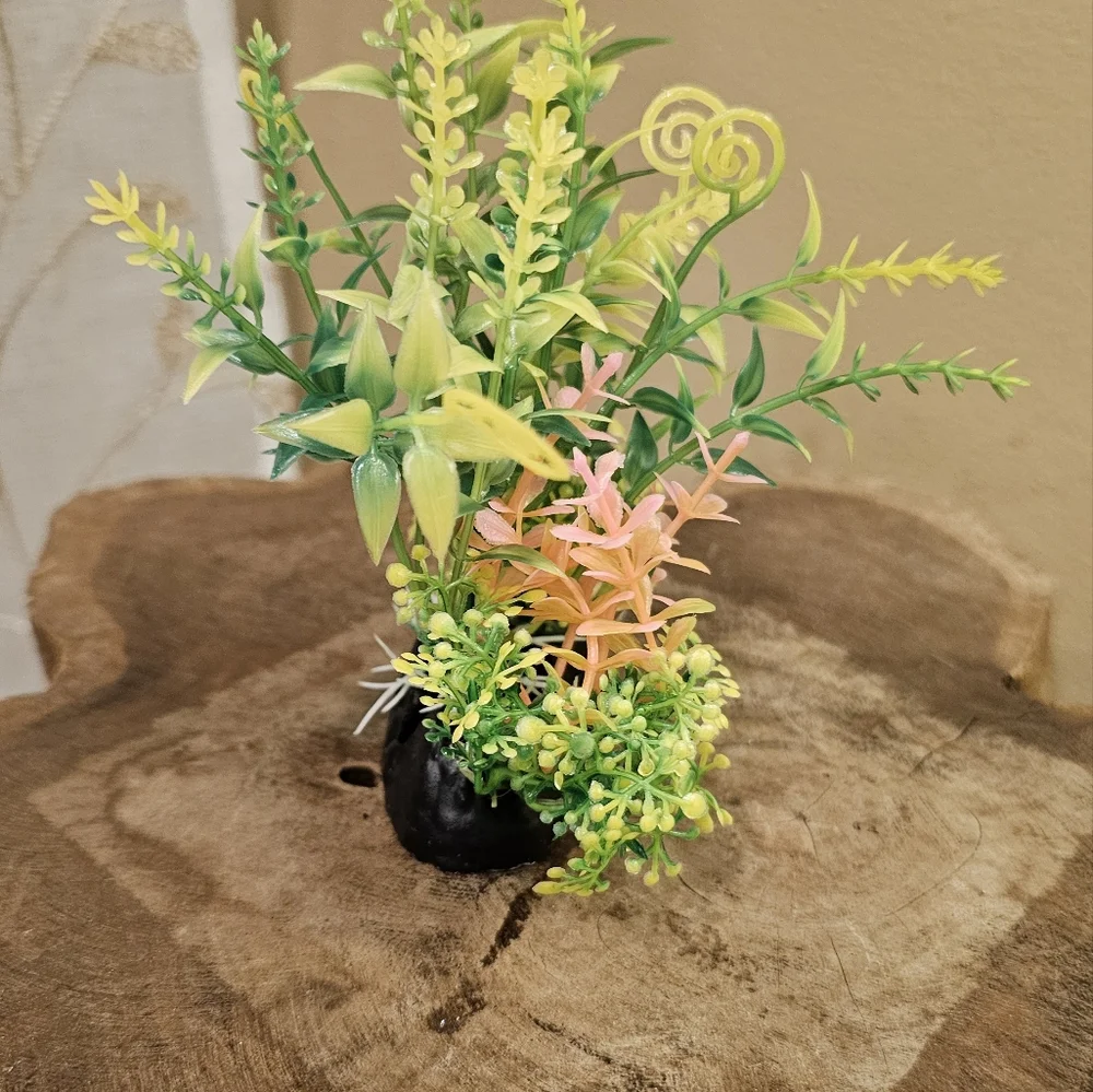 Top Fin Fish Decor Bundle Green Pink